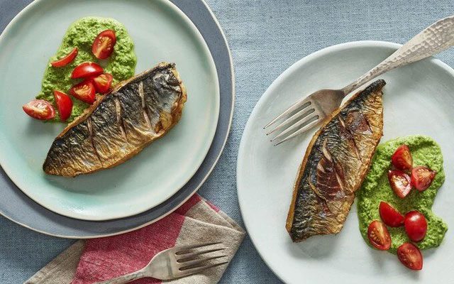 Mackerel
