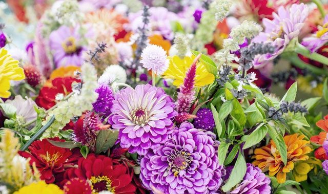 Colors and beauty can inspire creativity.
