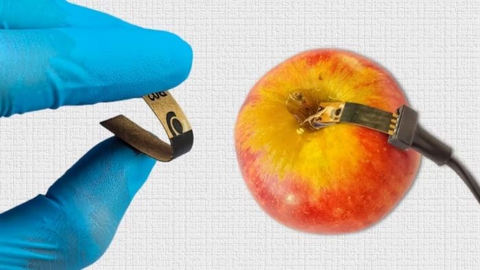Pesticide Detection Sensor