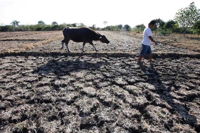 The 2015 El Niño event led to severe drought in the Philippines