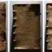 capture the 16th century book revealing the secrets of the ancient period 127787