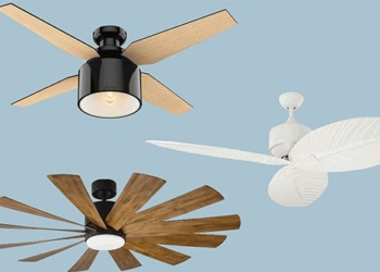 cat uses fan to help you sleep well while saving energy 127863