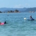 catfish accidentally injures beachgoer 128714