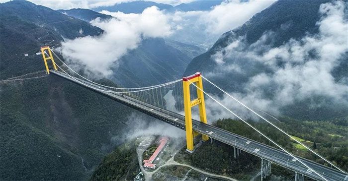 The construction cost of the bridge was approximately 100 million USD.