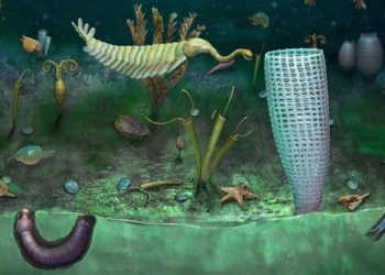 caught with covid 19 near home and discovered a 462 million year old monster treasure 127273
