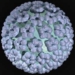 cervical cancer vaccine introduction to vietnam 6073