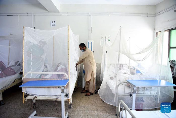 A dengue patient receiving treatment at a hospital in Islamabad, Pakistan
