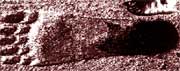 Giant Footprint