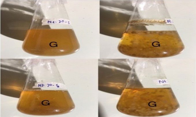 Biological products that enhance agarwood production mixed by the team in the laboratory.