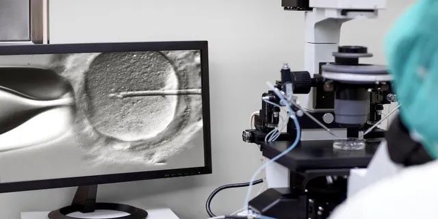 AI can assist doctors in selecting embryos.