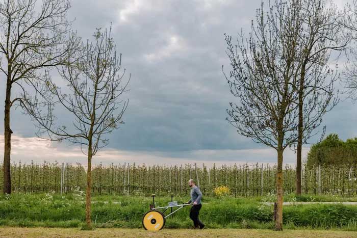 An expert using a metal detector at the site