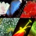 climate change could drive more than a million species to extinction 5803