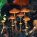 climate change makes the year become dangerous 127887