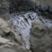 climate change will make viruses evolve but there is a historical rebirth 127912