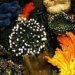 climate farmers create eco friendly sand 5591