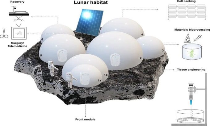 Design of the Bio-SPHERE experimental facility.