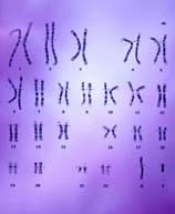 complete map gene person 5579