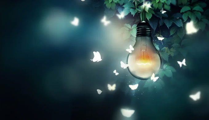 Butterflies seem to love flying around bright lights at night.