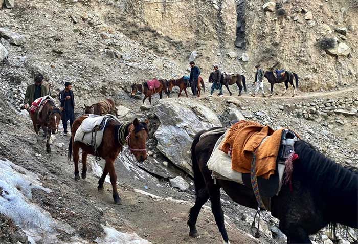 Visitors can rent horses at the foot of the mountain to climb up.