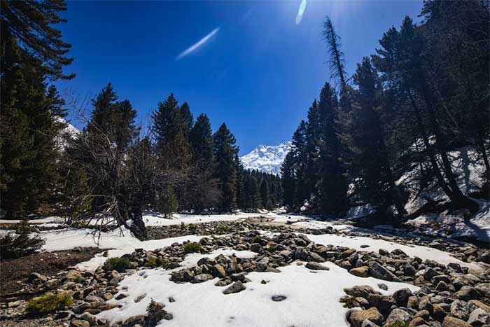 The route from Fairy Meadows to Beyal Camp is one of the most beautiful routes