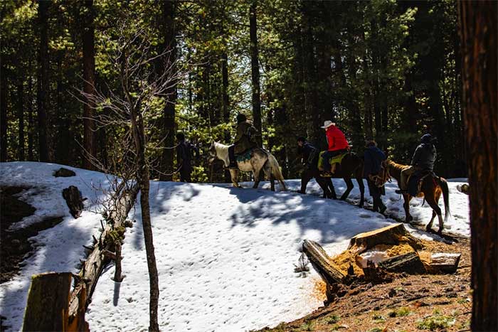 For those not accustomed to walking on snow, they can continue to rent horses to reach Beyal Camp.
