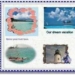 create a photo album as a unique exe file 5450