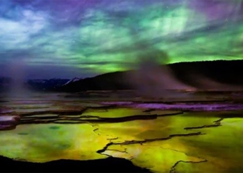 cuc quang ky ao hoa cung dong nuoc ngam yellowstone 127420 translates to the magnificent flowers in the yellowstone hot spring 127420 in english