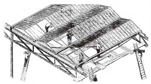 The glass and wood envelope of the Crystal Palace