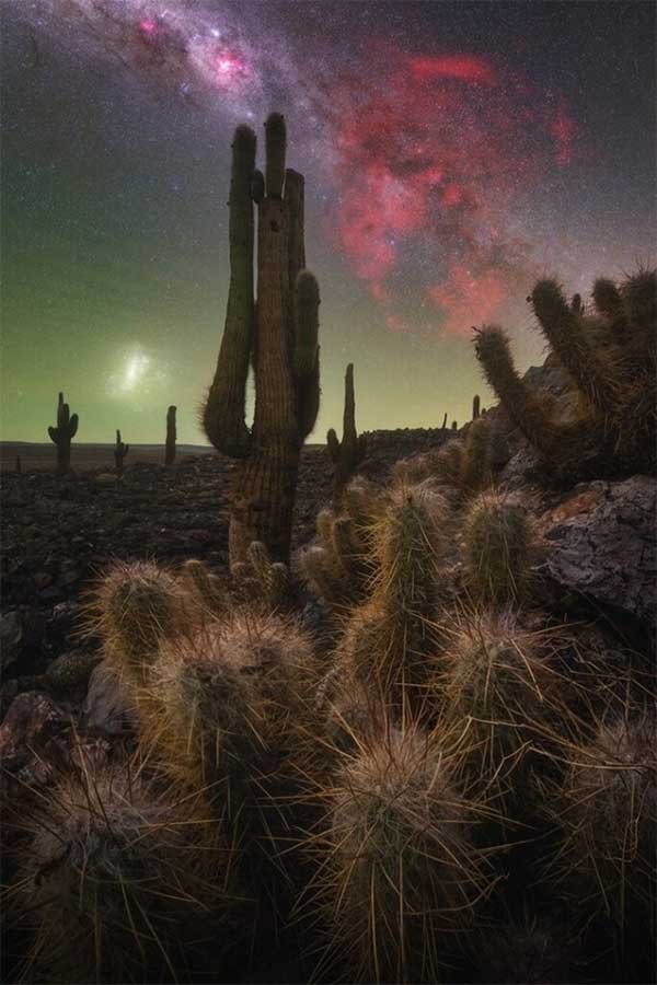 Photo “Cactus Valley” by author Pablo Ruiz García taken in Atacama, Chile.