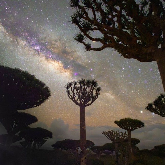 The photo 'Awakening the Senses' by author Violeta Lazareva