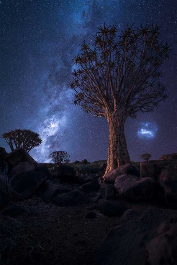 The photo 'Shivering Dreams' by author Peter Hoszang