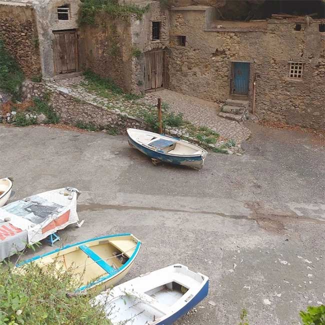 dao Gallo Lungo 3