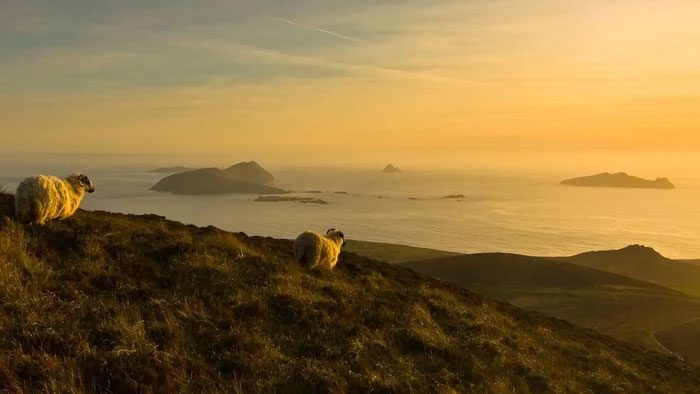 dao cua ireland 1