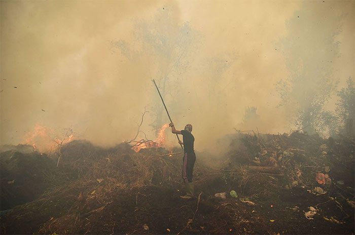 Residents extinguish a forest fire in Kampar, Riau province, Indonesia in 2019.