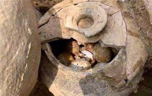 Eggs found in ancient tombs have undergone changes over hundreds of years.