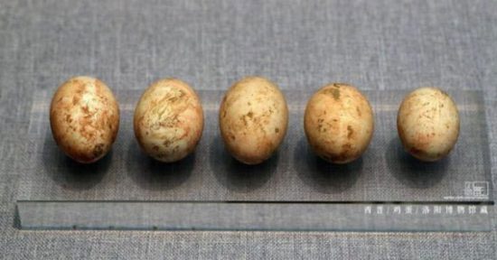 In ancient times, chicken eggs were highly valuable.