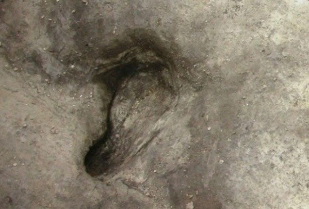 One of the footprints described in the study.