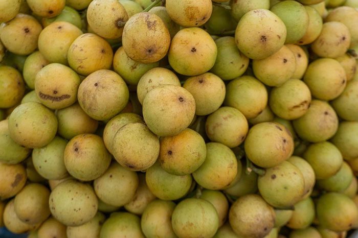 Land mulberry is highly nutritious.