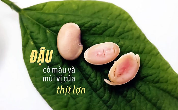 Moolec has likely added iron-containing genes similar to myoglobin to the soybeans.