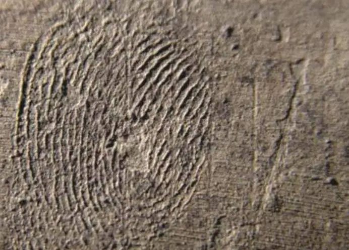 The fingerprint discovered on the body of the terracotta figure.