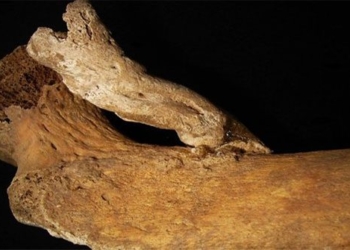 decoding the mysterious lower back of a 14th 19th century woman 126888