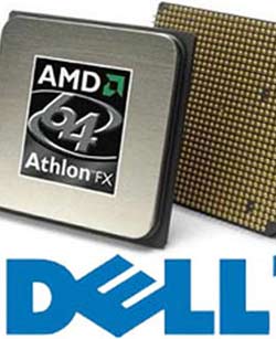 dell amd