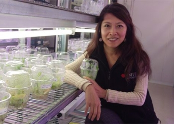 dentist vietnam selects plants on the moon 128514