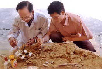 Associate Professor Dr. Nguyễn Lân Cường (left) and Director Quan Văn Dũng (right) handling the ancient human skeleton at Phia Vài.
