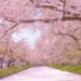 discover 72 seasons in a year only in japan 128945