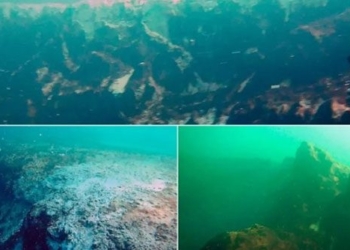 discover green lake after monday on world 127096