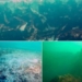 discover green lake after monday on world 127096