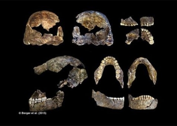 discover the oldest graveyard in the world in africa 127933