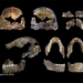 discover the oldest graveyard in the world in africa 127933