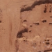discovery 22 ancient tombs dating back 1 600 years in china 128450
